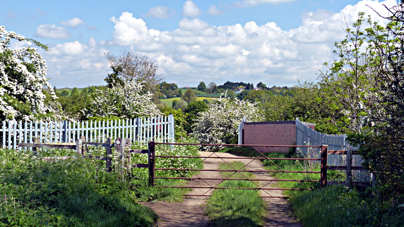 Waypoint 10