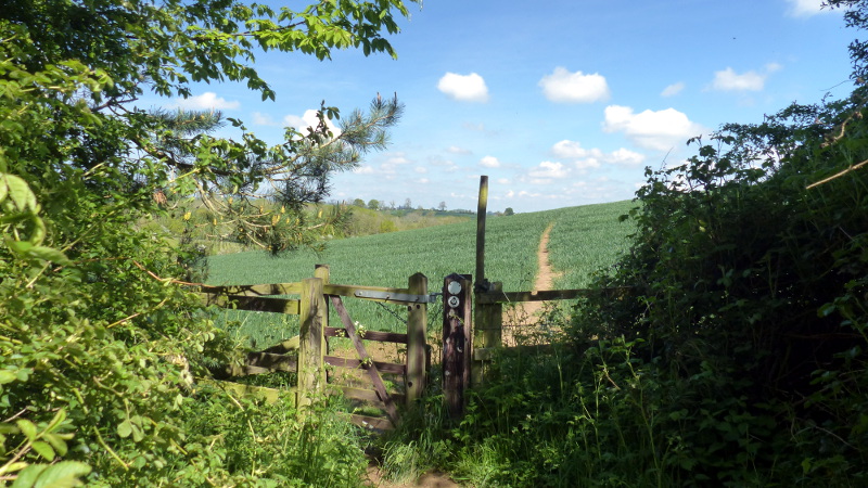Waypoint 2