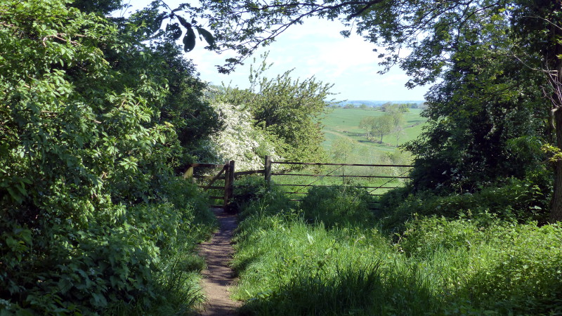 Waypoint 6